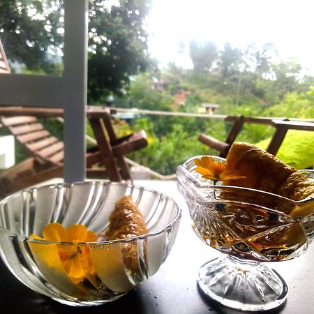 Ella Delightful Surround Homestay Εξωτερικό φωτογραφία