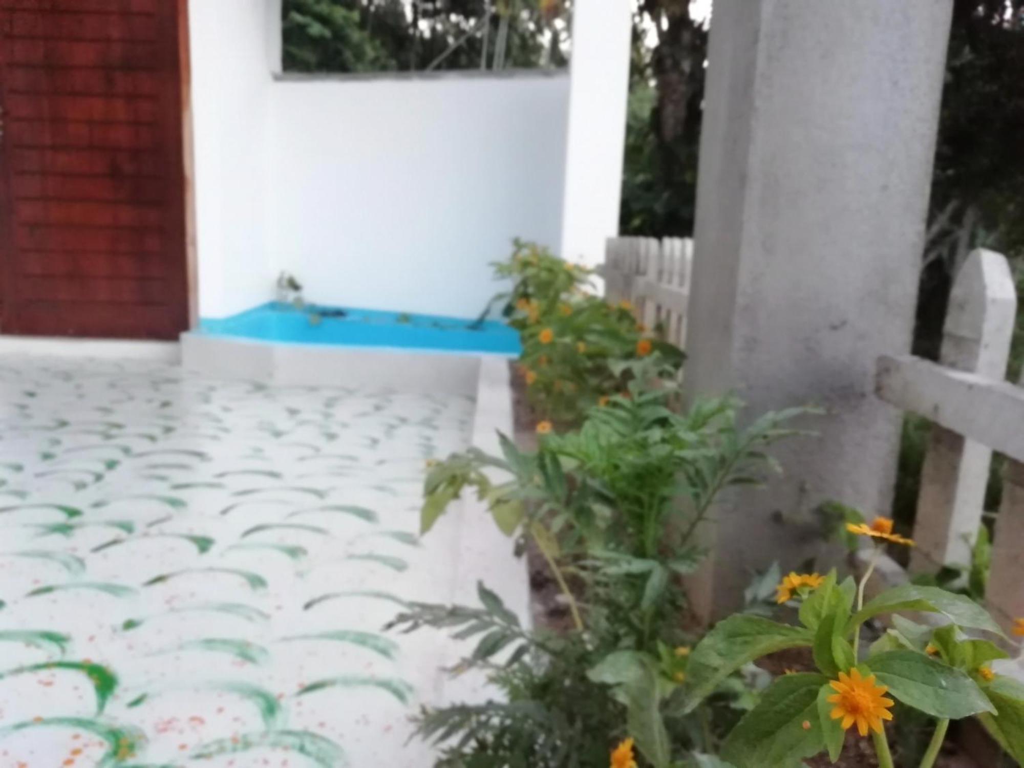 Ella Delightful Surround Homestay Εξωτερικό φωτογραφία